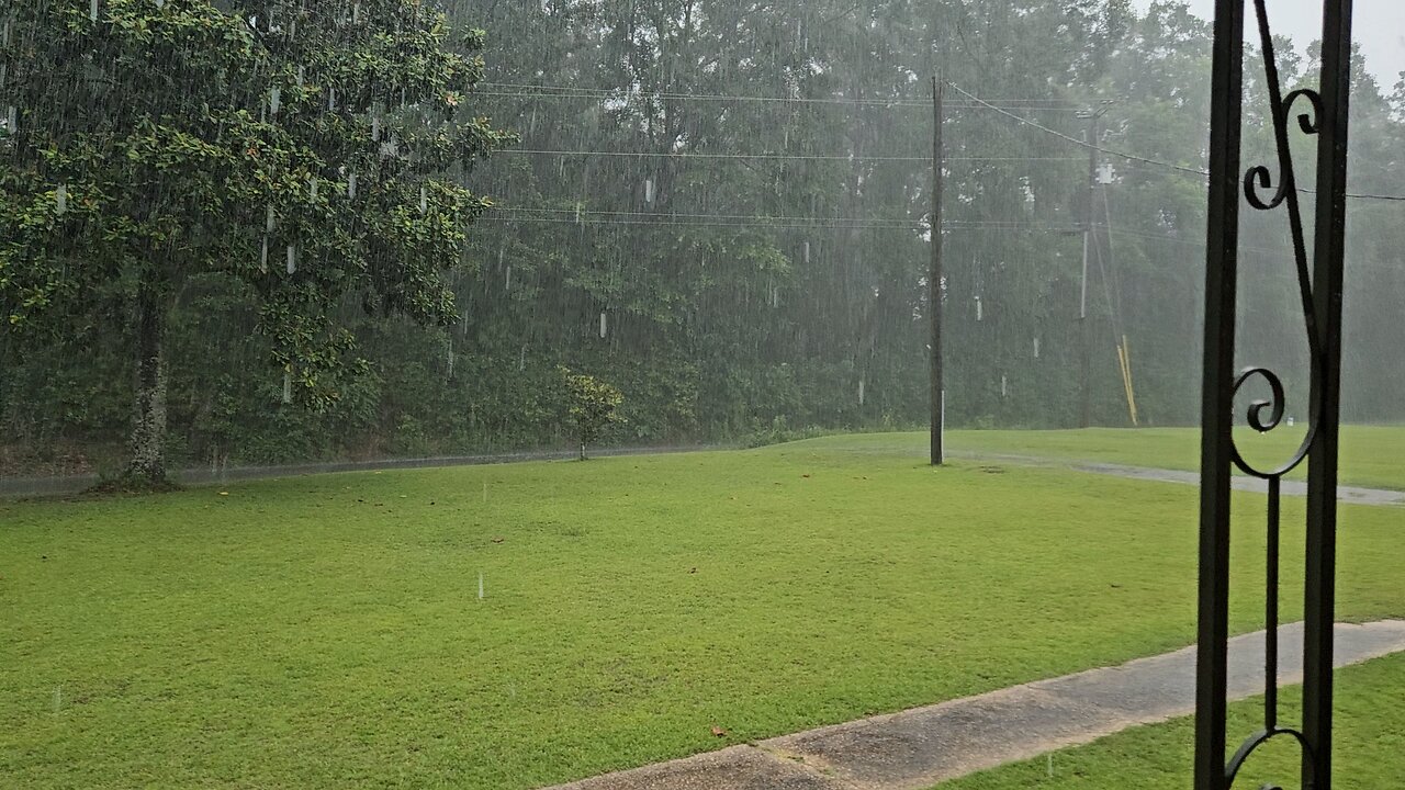 one minute of Swamp Storm