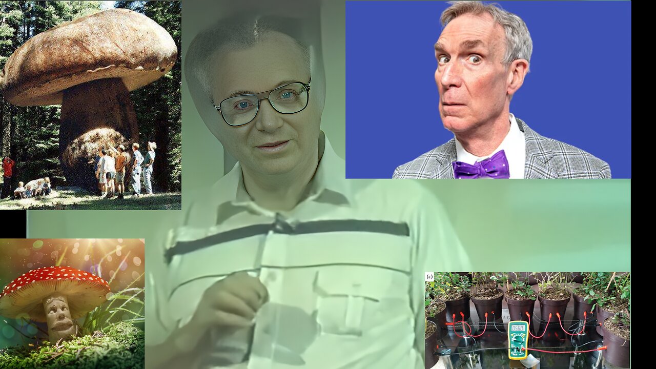 ( -0878 ) Carey Reams Layman's Introduction Parts 2 & 3 - Goes w Cancer, Ivermectin, Fenbendazole Videos (Suppressed Health & Healing Knowledge Conspiracy Videos)
