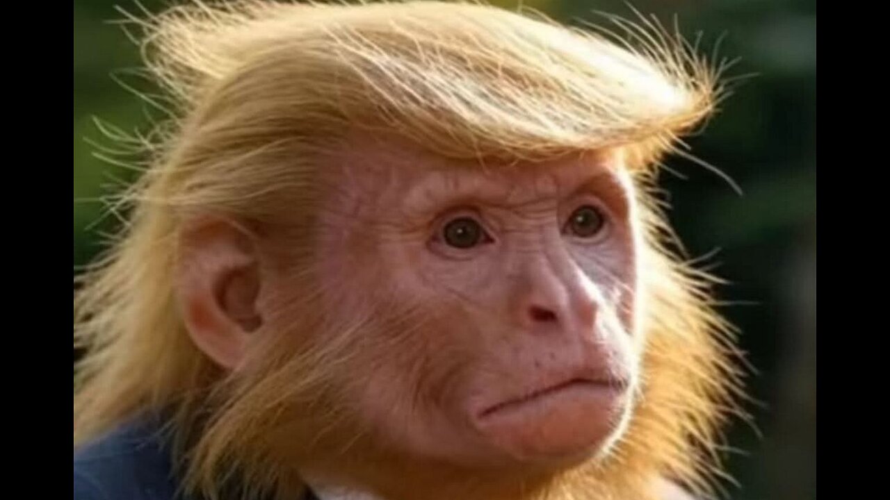 EWAKUACJA MIESZKAŃCÓW (CŁA)