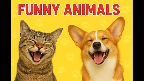 Happy pet