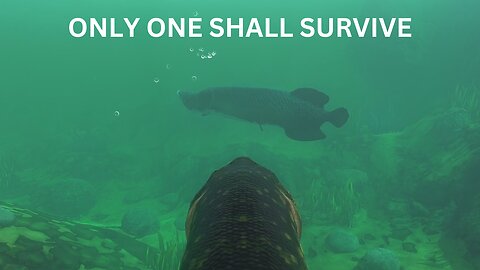 Fighting The River Queen | Fish Feed & Grow