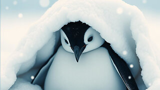 In Penguin Life (cover by Sweaty Lowe)