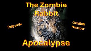 The Zombie Rabbit Apocalypse & and Strange Events