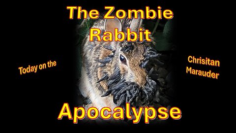 The Zombie Rabbit Apocalypse & and Strange Events