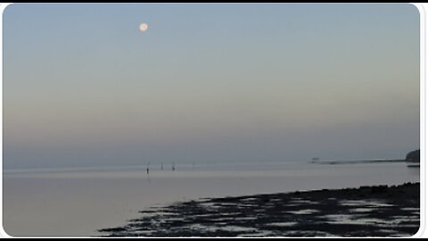 We are being Deceived, Walk with me My Friend's - Real Fishing Life