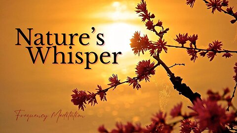Nature's Whisper | Meditation & Healing Frequencies