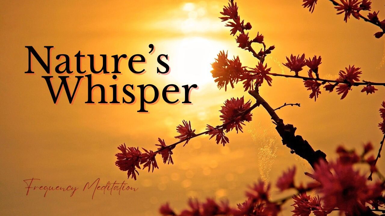 Nature's Whisper | Meditation & Healing Frequencies