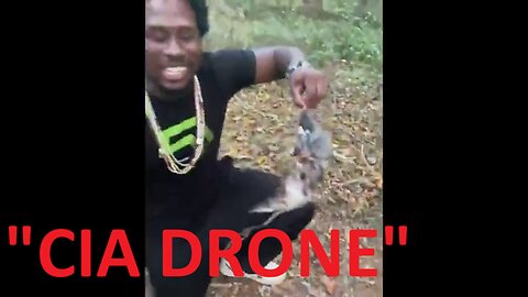 Spy Bird Caught