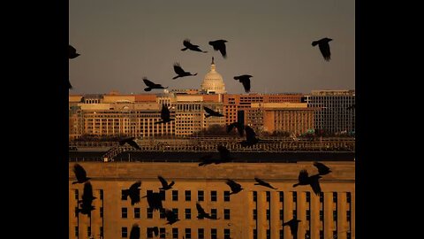 WH Some Press 'Bullied' Into Pentagon Walkout.mp4