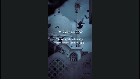 Falao la | Surah Waqiah Tilawat #shorts