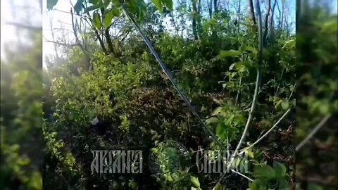 Destruction and capture of soldiers of the Ukrainian Armed Forces by airborne troops, Sumy Oblast.