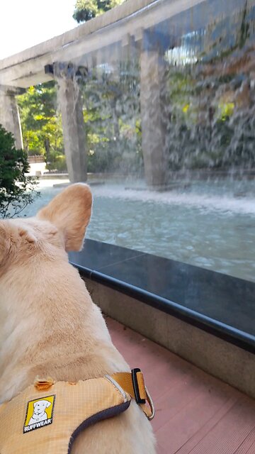 20250903.God is Love.