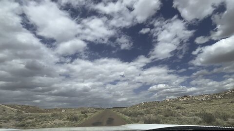 Driving through the park