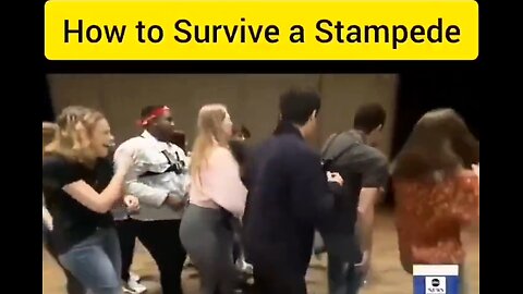 How To Survive A Stampede #viral #trending #rumble #video #ideas #politics #news #trump