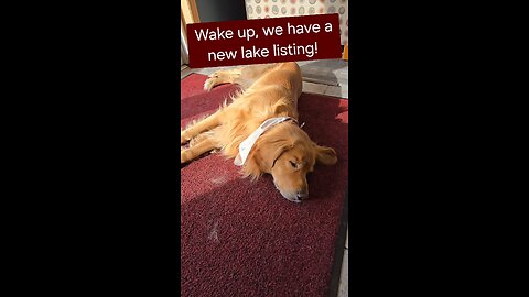Wake up, we have a new lake listing!