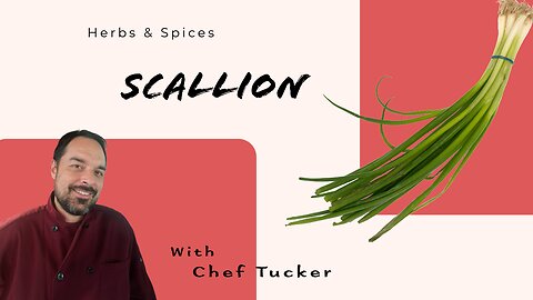 Scallion