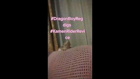 Revice Time