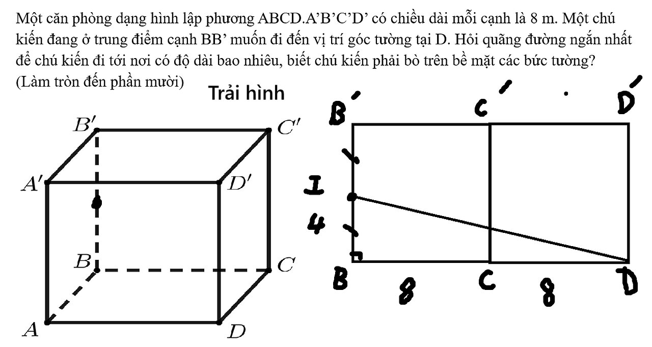 Toán 11: Một căn phòng dạng hình lập phương ABCD.A’B’C’D’ có chiều dài mỗi cạnh là 8 m