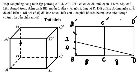 Toán 11: Một căn phòng dạng hình lập phương ABCD.A’B’C’D’ có chiều dài mỗi cạnh là 8 m