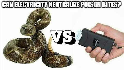 "Unlocking Unexpected Truth: Electric Shock as a Remedy for Poisonous Bites"