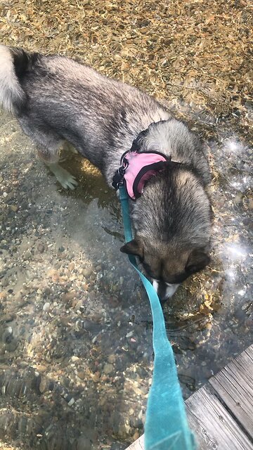 Tuesday June 3, Honor the Lord