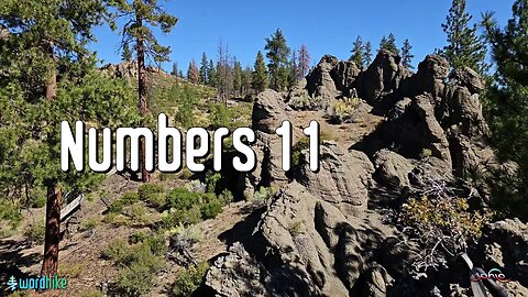 Numbers 11, Bible Reading in Nature, BSB