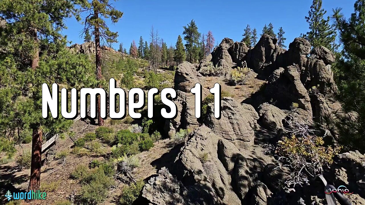 Numbers 11, Bible Reading in Nature, BSB