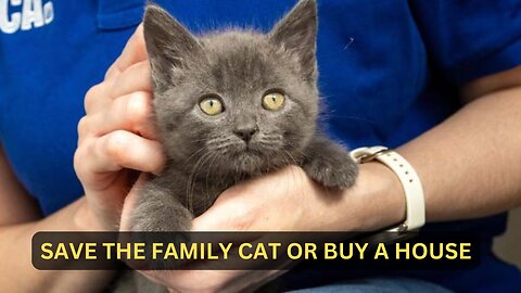 Save the family cat or buy a house