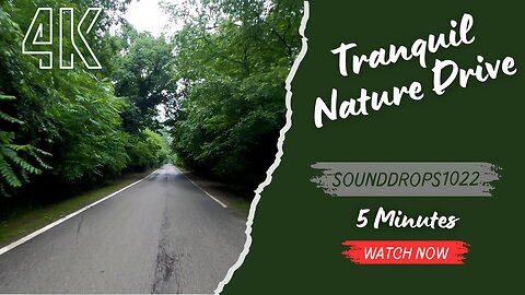 5 Minutes of Tranquil Nature Drive: Relaxing Ambience