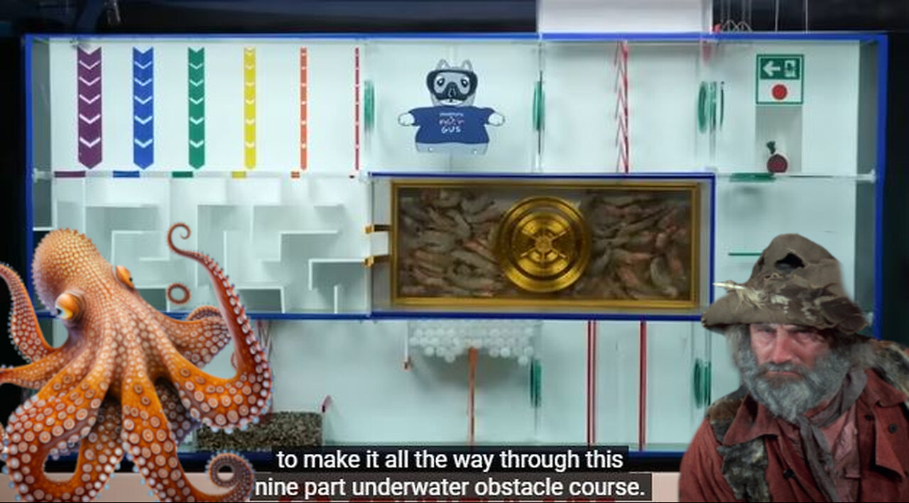 🚨⚠️IT SOLVED ITS WAY FREE! THIS OCTOPUS IS SMARTER THAN 90% OF HUMANS. I GUARANTEE THAT.. LOOK!👀