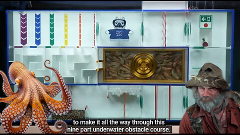 🚨⚠️IT SOLVED ITS WAY FREE! THIS OCTOPUS IS SMARTER THAN 90% OF HUMANS. I GUARANTEE THAT.. LOOK!👀
