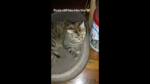 Rosie