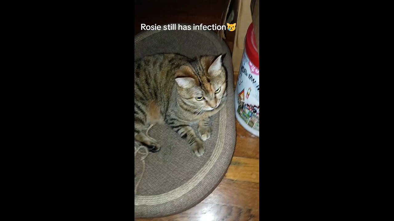 Rosie