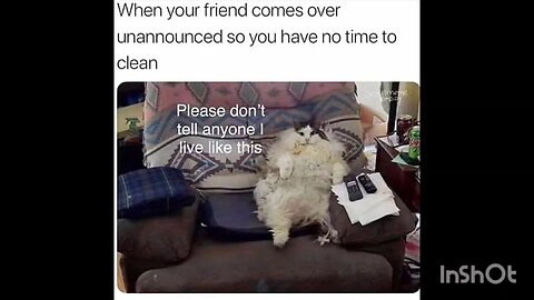 When your friend comes over unannounced so you have no time to clean