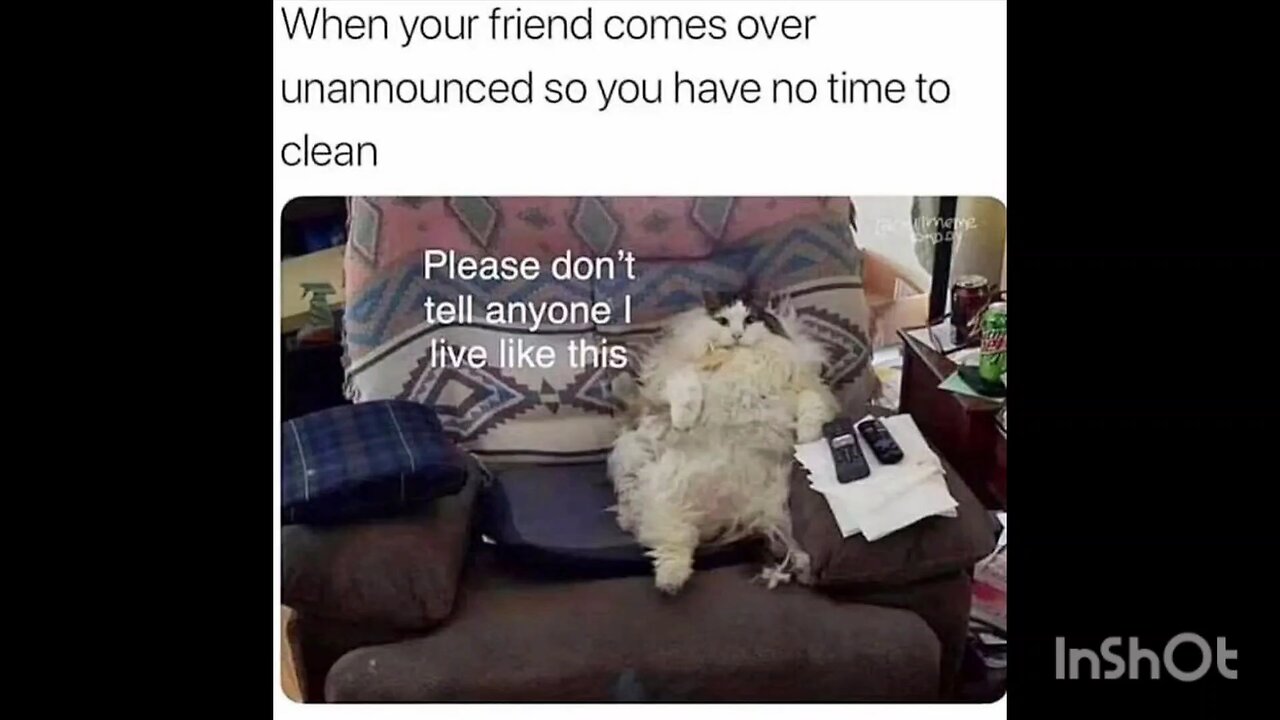 When your friend comes over unannounced so you have no time to clean