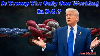 Is Trump The Only One Working In D.C.?