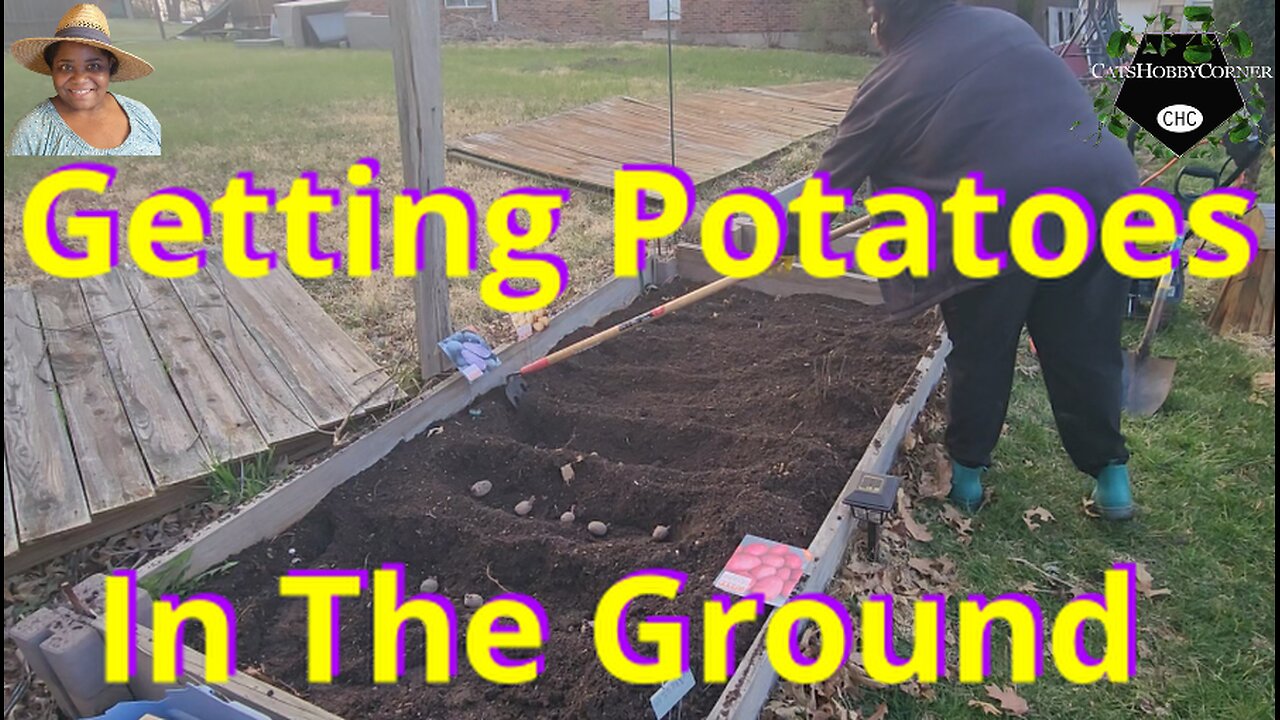 Getting These Potatoes In The Ground