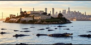 Alligator Alcatraz Being Built In Florida Facing Backlash