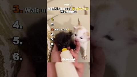 Funniest Medazelli#ranking #medazelli #tiktok