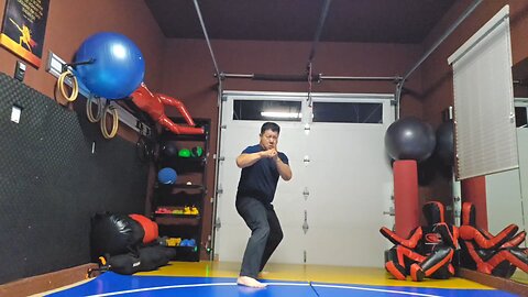 WTD 2 Step Kick Combination 176
