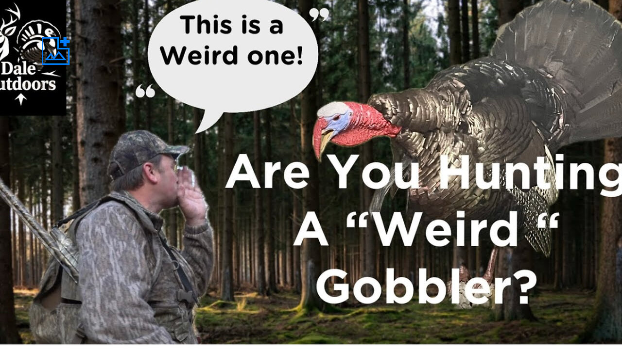 Have You Ever Hunted A Gobbler You Think Was Weird