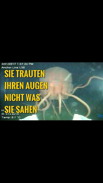 Was sie tief unterm Ozean fanden ließ ihr Blut gefrieren