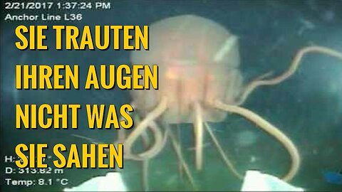 Was sie tief unterm Ozean fanden ließ ihr Blut gefrieren