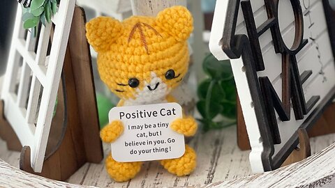 Crochet Positive Cat