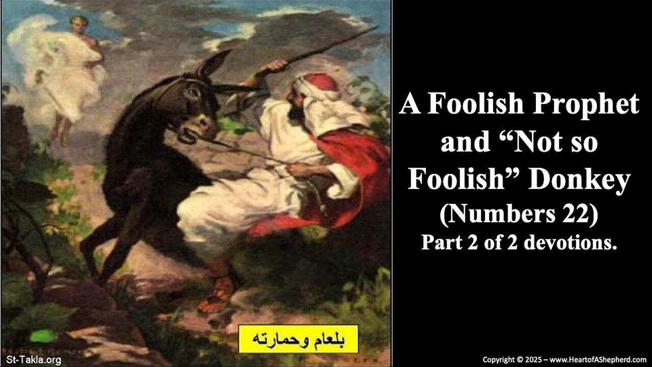 A Foolish Prophet and “Not so Foolish” Donkey (Numbers 22) from www.HeartofAShepherd.com.