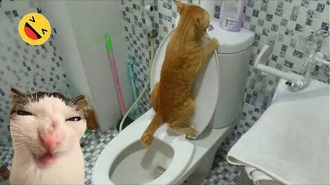 2025’s Funniest Dogs & Cats 😂 You Won’t Stop Laughing! | You Laugh You lose 😍😸😹 #Ep74