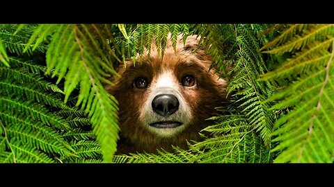 the cute baby off animals