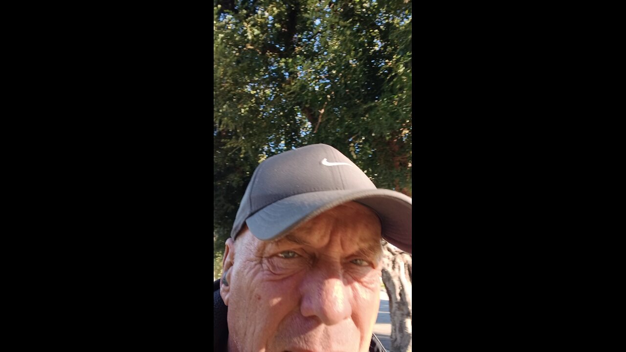 Illegals Drivers test