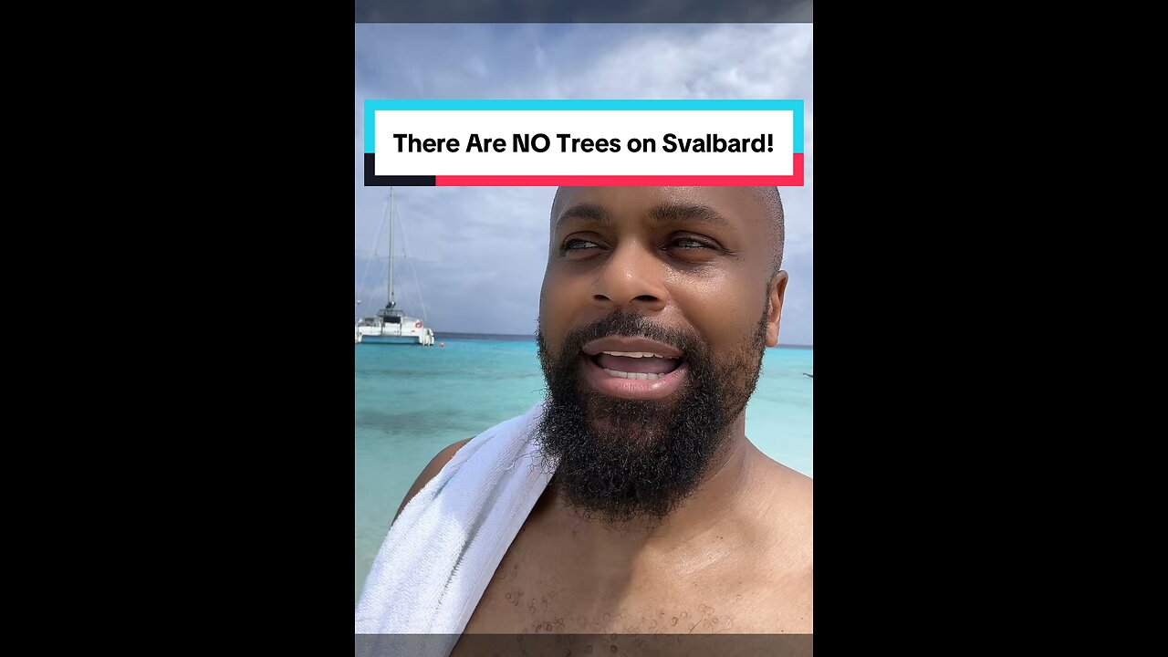 There Are No Trees on Svalbard!