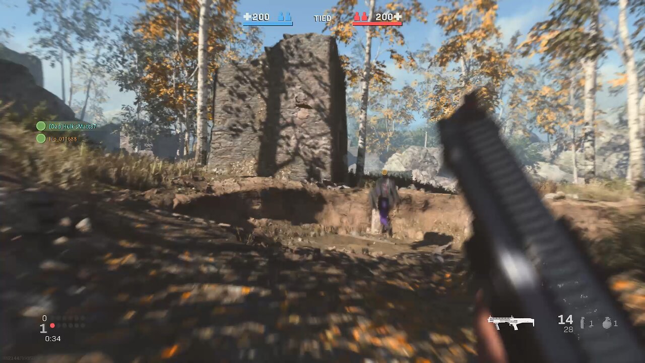 Call of Duty. Shottie